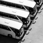 Buses