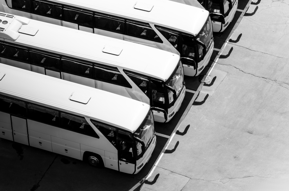 Buses